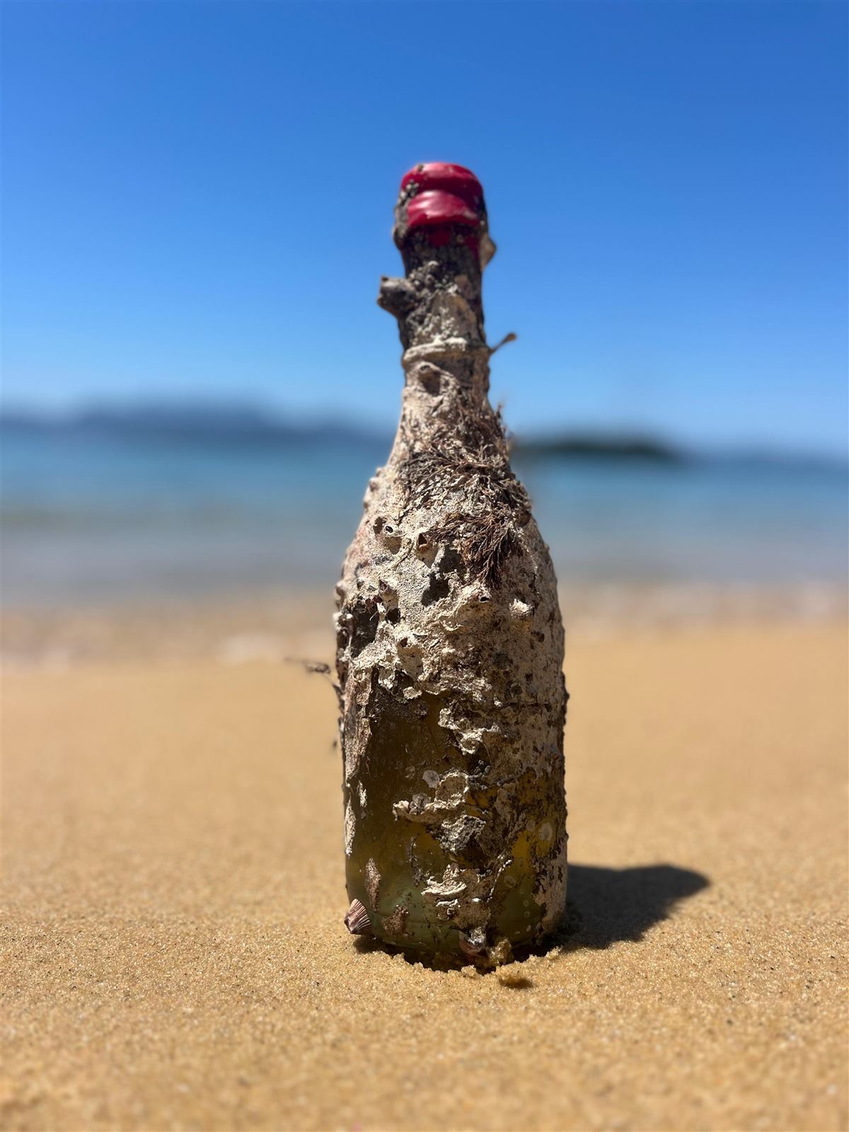 Garrafa de vinho coberta por crostas marinhas em pé na areia da praia