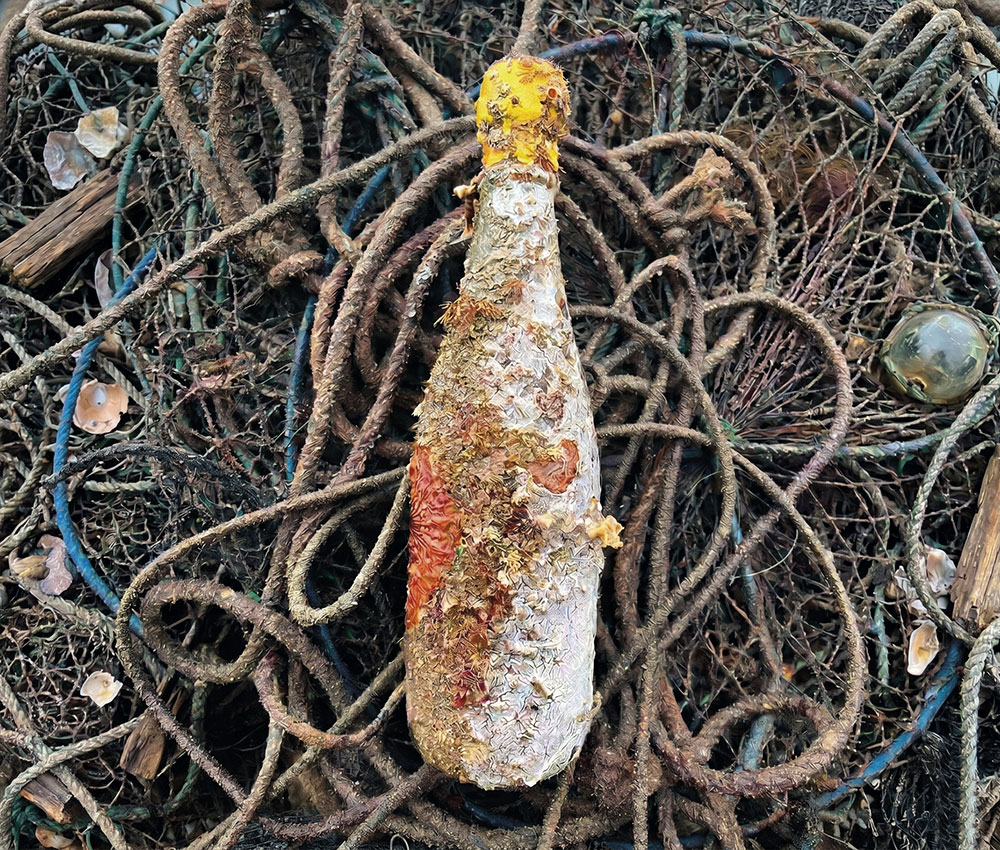 Garrafa do Pét-Nat Perlato coberta por crostas marinhas sobre rede de pesca